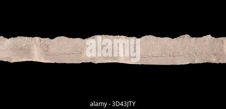 Single long horizontal strip textured cardboard placed against a solid black background. The strip occupies the central area of the frame, acting as a Stock Photo