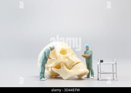 Miniature people Doctor with a giant human skull on a grey background, Science and Medical Concept Stock Photo