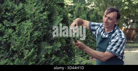 Man pruning tree with clippers. Male farmer cuts branches in spring garden with pruning shears Stock Photo