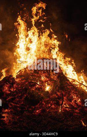 Big bonfire burning in the night Stock Photo