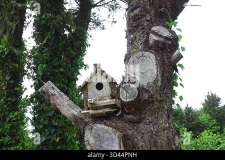 Birdhouse on an old tree. Birdhouse in the garden. Stock Photo