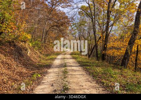 A narrow gravel road in the woods during autumn. Stock Photo