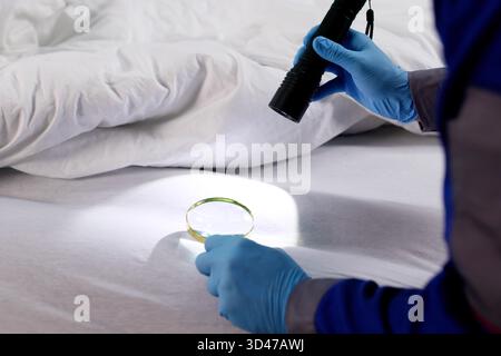 Man With Magnifying Glass Inspects Bedbug Infestation In Hotel. Stock Photo