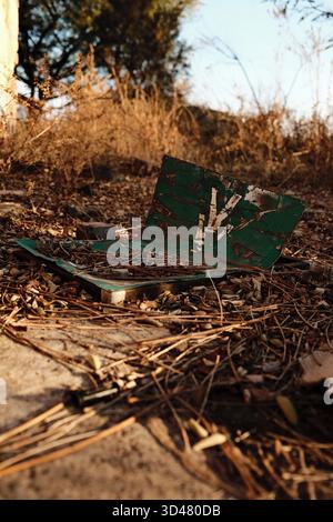 Rusted green metal sign among dry leaves and twigs Stock Photo
