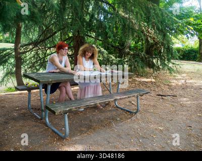 Two women sitting at a wooden picnic table under a large evergreen tree enjoying a pleasant outdoor afternoon together learning and working on project Stock Photo