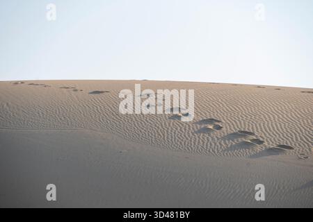 Doha, Qatar - October 30, 2025: Footprints on a desert dune Sealine beach Doha Qatar Stock Photo