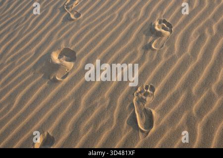 Doha, Qatar - October 30, 2025: Footprints on a desert dune Sealine beach Doha Qatar Stock Photo