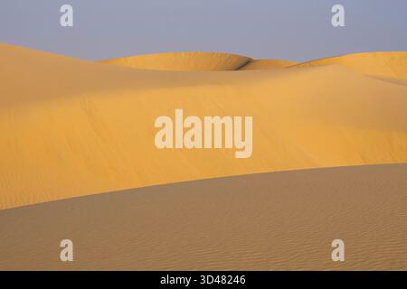 Doha, Qatar - A vast desert landscape with golden sand dunes stretching to the horizon, soft wind-blown textures on the sand, Inlan Stock Photo