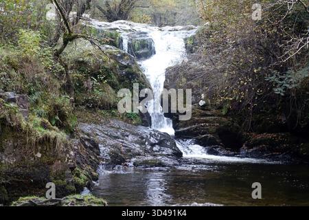 High Force Waterfalls on Aira Beck near Aira Force on route to the Wainwright 'Gowbarrow Fell' in Patterdale, Lake District, Cumbria, England, UK. Stock Photo