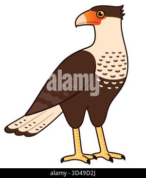 Crested Caracara (Traro, Carancho, Mexican eagle) illustration. North and South American bird of prey. Isolated vector clipart drawing. Stock Vector