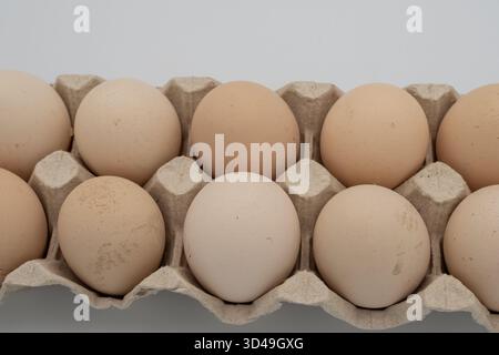 Ten brown chicken eggs in a cardboard carton on white background Stock Photo