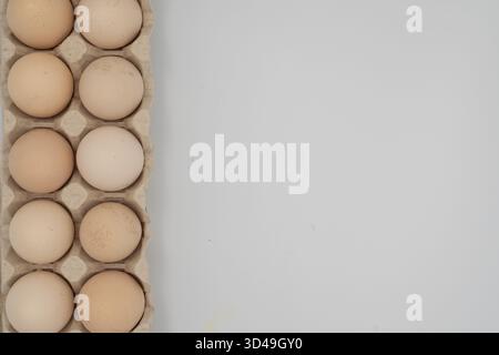 Ten brown chicken eggs in a cardboard carton on white background Stock Photo