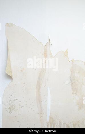 This image shows the effects of moisture damage on interior walls, with peeling wallpaper and visible mold growth Stock Photo