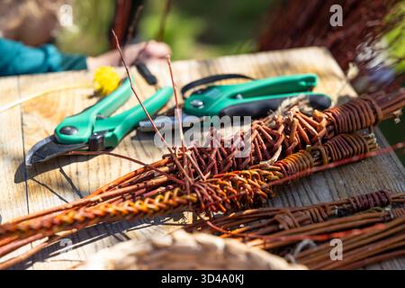 Woven willow branches and pruning shears on a wooden table during a handicraft workshop Stock Photo
