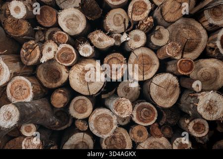 Stacked firewood logs with rough cut ends showing natural grain and warm brown tones, creating a rustic textured background Stock Photo