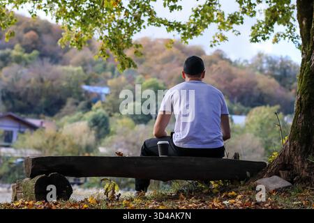 Man holding coffee cup while contemplating autumn scenery from rear. Rear view of a man holding a takeaway coffee cup, seated on a wooden bench Stock Photo