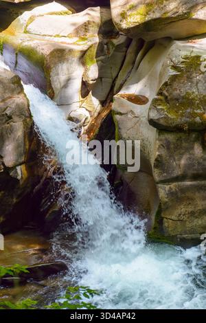 waterfall from rock among forest in summer. beautiful nature scenery with davir cascade on turychka river. discovery of the wild water stream. outdoor Stock Photo