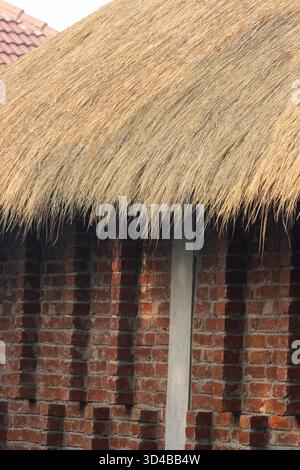 red wall made from hand made bricks with rice thatch above  in the Sundarbans near Kolkata, India Stock Photo