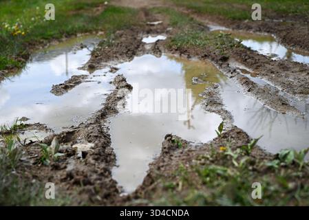 Rural dirt road with large puddles after rainfall and tire tracks. Stock Photo