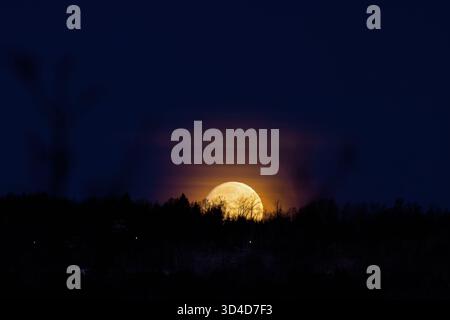 Moon rising over trees in silhouette a dark night Stock Photo