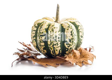 Sweet dumpling pumpkin isolated on a white background. Stock Photo