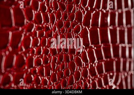 Shiny red leather surface with shallow depth of field. Stock Photo