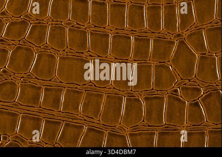 Shiny brown leather surface close up. Stock Photo