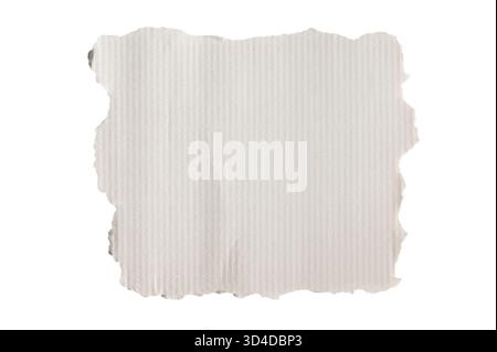 White corrugated paper with torn edges. Stock Photo