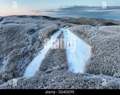 Ski slope at sunrise with snow covered frosty forest from drone Stock Photo
