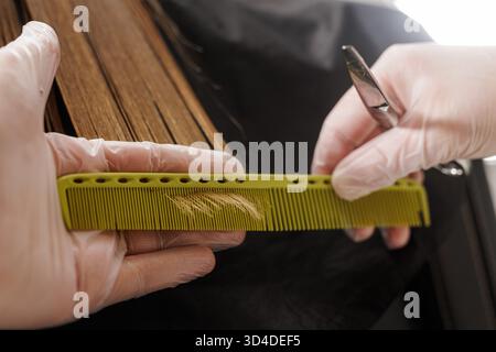 Close up of stylist trimming wet lengths using point cutting; cut ends visible on the comb, showing precise salon technique and hygiene. Stock Photo
