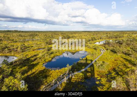 Aerial boardwalk over Kemeri Bog lakes, Latvian peatland in Kemeri National Park Stock Photo