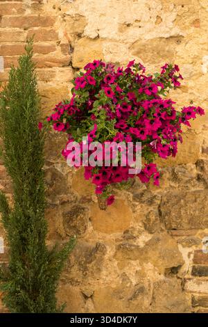 cracked wall in tuscany Stock Photo - Alamy