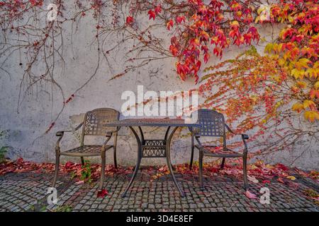 Two chairs and the table with colourful autumn ivy in the background Stock Photo