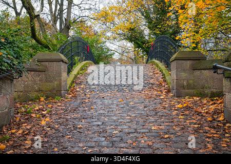 Pedestrian Footbridge over the Bridgewater Canal, Worsley, Salford, Greater Manchester, United Kingdom Stock Photo