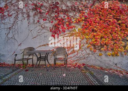 Two chairs and the table with colourful autumn ivy in the background Stock Photo