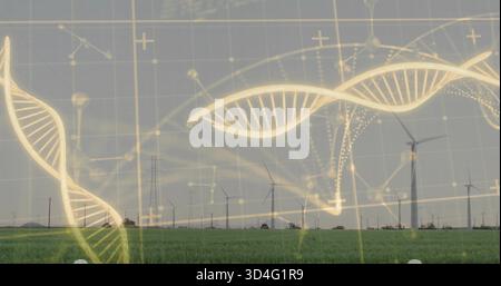 Displaying wind turbines rotating over green crop field with power lines and glowing DNA overlay Stock Photo
