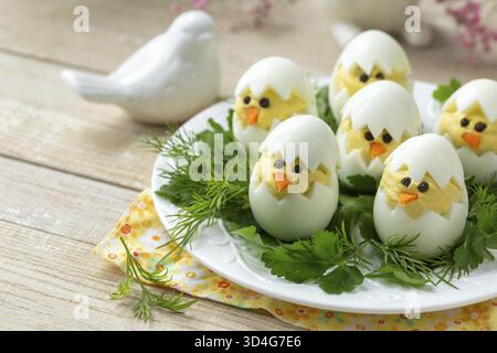 Food, Funny eggs chicks. Easter idea for breakfast. Healthy appetizer for easter table. selective focus Stock Photo