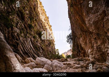 A view looking along the canyon floor, highlighting the dramatic contrast between the massive, striated, sunlit rock walls and the foreground of large Stock Photo