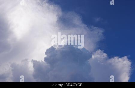 Cumulus congestus  ( towering cumulus ) cloud forming Stock Photo
