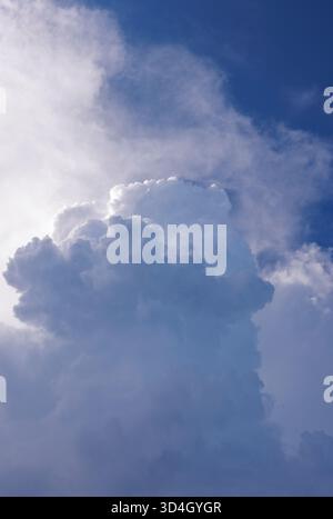 Cumulus congestus  ( towering cumulus ) cloud forming Stock Photo