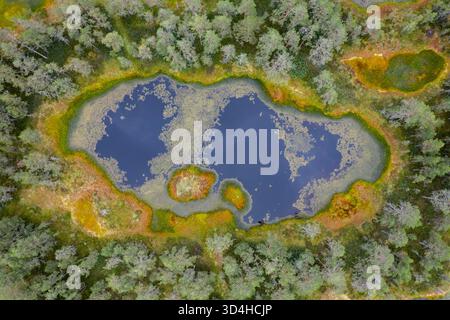 A bog landscape in Estonia in an aerial drone view Stock Photo