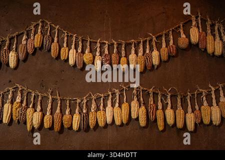 Multi-colored corn cobs hanging to dry on an adobe wall in Pisac. Pisac, Cusco Region, Peru, 2025-05-30. Stock Photo