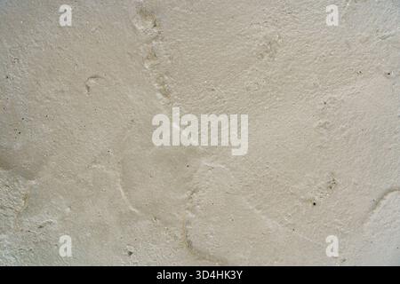 Fresh footprints are visible on a sandy surface near the beach, indicating recent visitors enjoyed the warm sun and gentle waves. Stock Photo