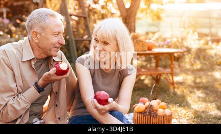 Elderly Couple Enjoys Picking Apples During Golden Hour in a Serene Garden Setting Stock Photo