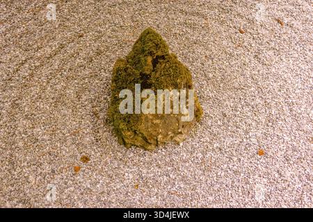 A top-down, minimalist photograph of a single, moss-covered rock placed in a bed of finely raked white and grey gravel, evoking a sense of calm and ze Stock Photo
