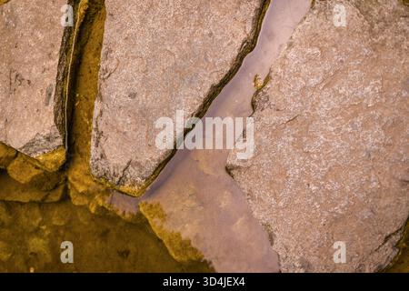 An abstract, top-down, flat-lay photograph of large, flat stepping stones separated by a narrow channel of shallow, murky water in a garden pond. Stock Photo