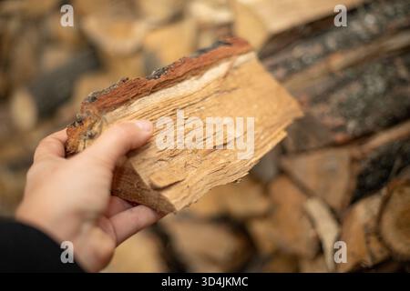 Firewood pieces stacked together showing natural wooden texture in warm light Stock Photo
