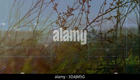 Backlit dry plant stems forming sharp cluster in meadow near distant buildings, with HUD overlay Stock Photo