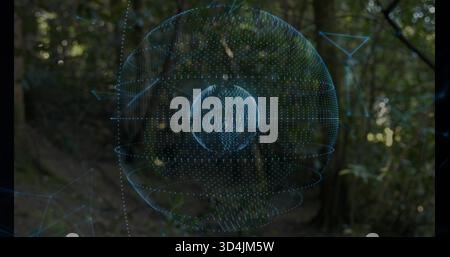 Floating blue holographic sphere rotating over forest clearing, with inner globe and network nodes Stock Photo