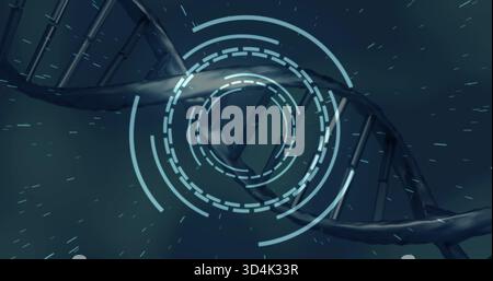 Twisting single DNA double helix spiraling across virtual lab display, showing cyan HUD rings Stock Photo